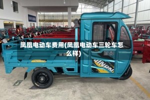 凤凰电动车费用(凤凰电动车三轮车怎么样)