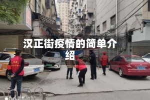 汉正街疫情的简单介绍