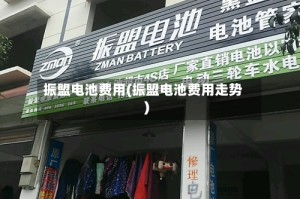 振盟电池费用(振盟电池费用走势)