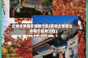 北京大学在北京哪个区(北京大学在北京哪个区有分校)