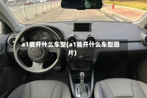 a1能开什么车型(a1能开什么车型图片)