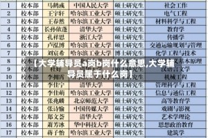 【大学辅导员a岗b岗什么意思,大学辅导员属于什么岗】