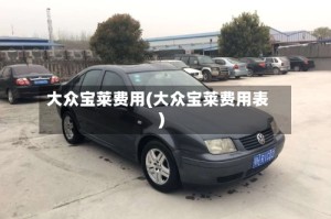 大众宝莱费用(大众宝莱费用表)
