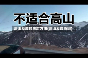高山反应的应对方法(高山反应原因)