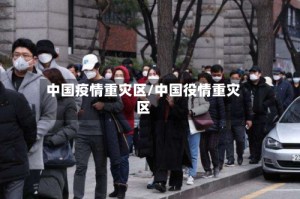 中国疫情重灾区/中国役情重灾区