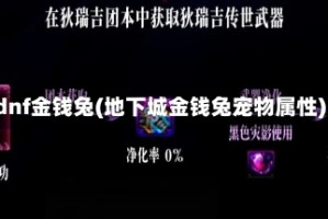 dnf金钱兔(地下城金钱兔宠物属性)