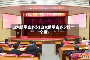 山大助学金多少(山大助学金多少钱一个月)