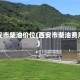 西安市柴油价位(西安市柴油费用)