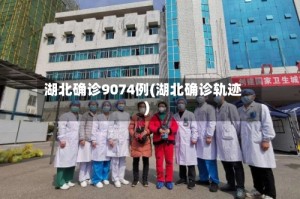 湖北确诊9074例(湖北确诊轨迹)