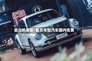 复古的车型/复古车型汽车国内在售