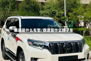 霸道是什么车型/霸道是什么牌子车