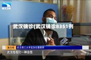 武汉确诊(武汉确诊8351例)