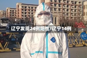 辽宁发现24例阳性/辽宁14例