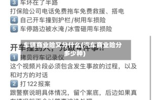 车辆商业险又分什么(汽车商业险分多少种)