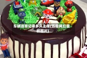 车辆违章记录多久上传(五层网红蛋糕图片)