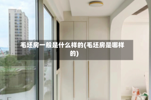 毛坯房一般是什么样的(毛坯房是哪样的)