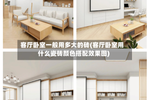 客厅卧室一般用多大的砖(客厅卧室用什么瓷砖颜色搭配效果图)