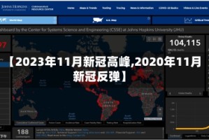 【2023年11月新冠高峰,2020年11月新冠反弹】
