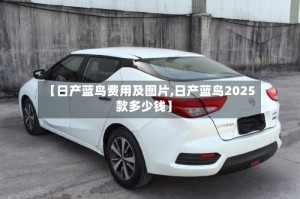 【日产蓝鸟费用及图片,日产蓝鸟2025款多少钱】