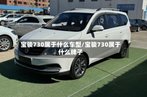 宝骏730属于什么车型/宝骏730属于什么牌子