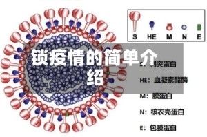 锁疫情的简单介绍