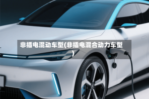 非插电混动车型(非插电混合动力车型)
