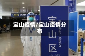 宝山疫情/宝山疫情分布
