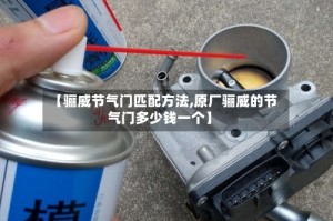 【骊威节气门匹配方法,原厂骊威的节气门多少钱一个】