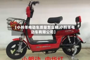 【小羚羊电动车质量怎么样,小羚羊电动车有限公司】