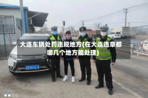 大连车辆处罚违规地方(在大连违章都哪几个地方能处理)