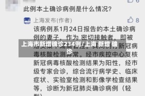 上海市新增确诊234例/上海 新增 确诊