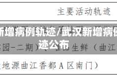 武汉新增病例轨迹/武汉新增病例轨迹公布