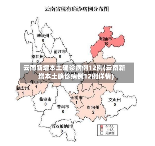 云南新增本土确诊病例12例(云南新增本土确诊病例12例详情)-第2张图片