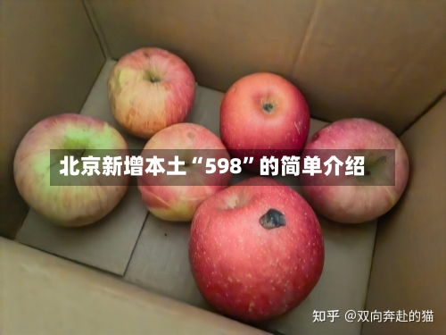 北京新增本土“598”的简单介绍-第2张图片