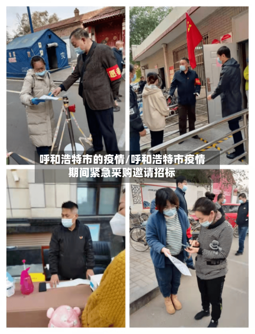 呼和浩特市的疫情/呼和浩特市疫情期间紧急采购邀请招标-第3张图片