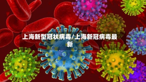 上海新型冠状病毒/上海新冠病毒最新-第1张图片