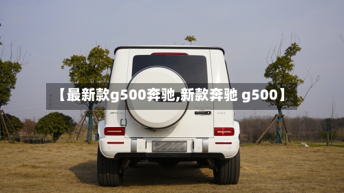 【最新款g500奔驰,新款奔驰 g500】-第3张图片