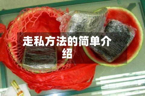 走私方法的简单介绍-第1张图片