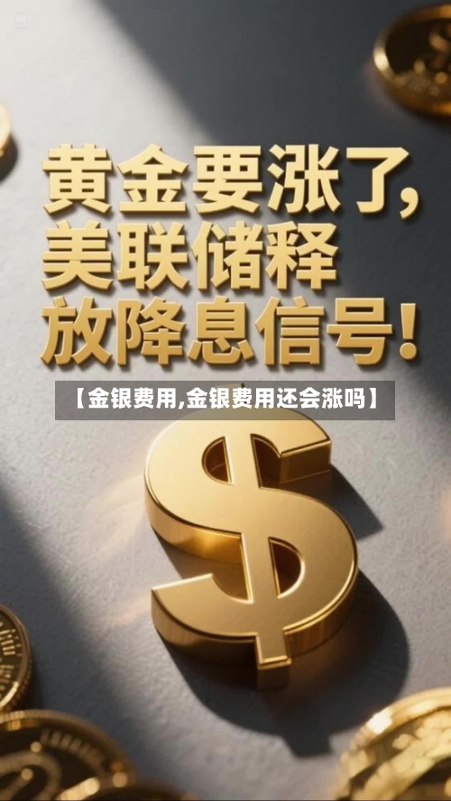 【金银费用,金银费用还会涨吗】-第3张图片