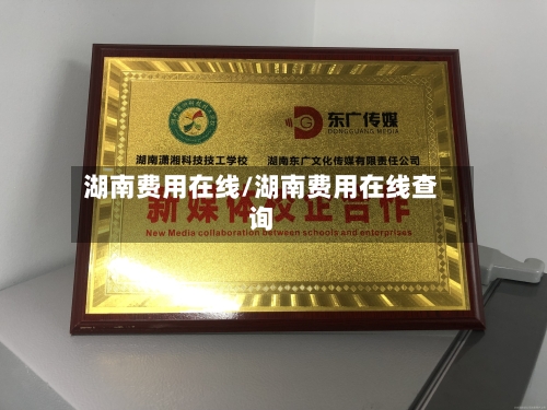 湖南费用在线/湖南费用在线查询-第1张图片