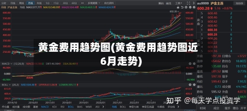 黄金费用趋势图(黄金费用趋势图近6月走势)-第2张图片