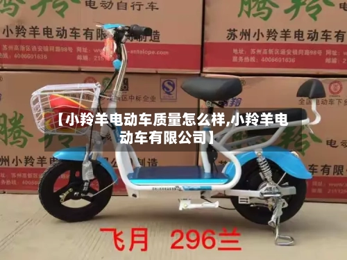 【小羚羊电动车质量怎么样,小羚羊电动车有限公司】-第2张图片