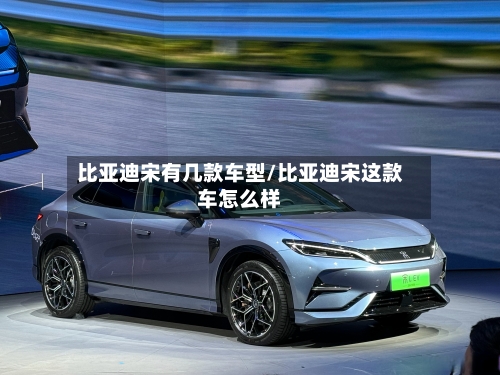 比亚迪宋有几款车型/比亚迪宋这款车怎么样-第2张图片