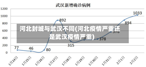 河北封城与武汉不同(河北疫情严重还是武汉疫情严重)-第2张图片