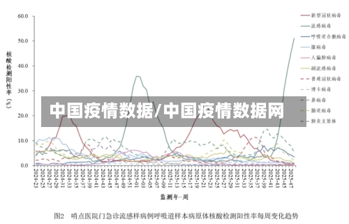 中国疫情数据/中国疫情数据网-第2张图片
