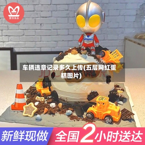 车辆违章记录多久上传(五层网红蛋糕图片)-第3张图片