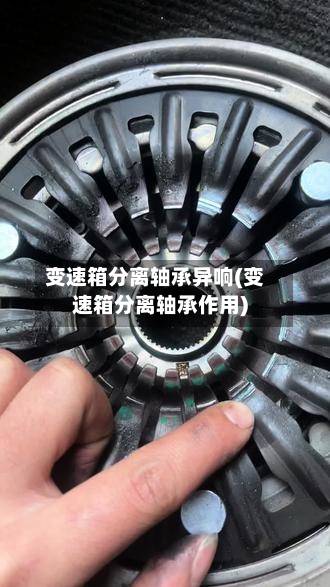 变速箱分离轴承异响(变速箱分离轴承作用)-第2张图片