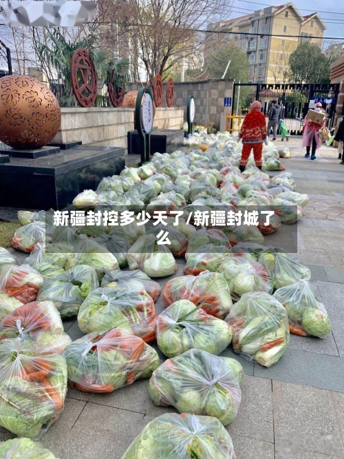 新疆封控多少天了/新疆封城了么-第1张图片