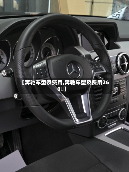 【奔驰车型及费用,奔驰车型及费用260乚】-第2张图片
