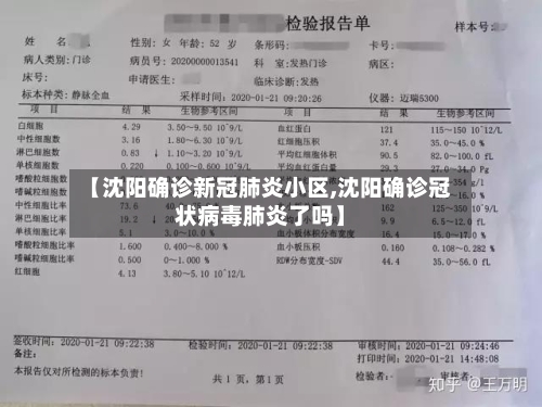 【沈阳确诊新冠肺炎小区,沈阳确诊冠状病毒肺炎了吗】-第3张图片